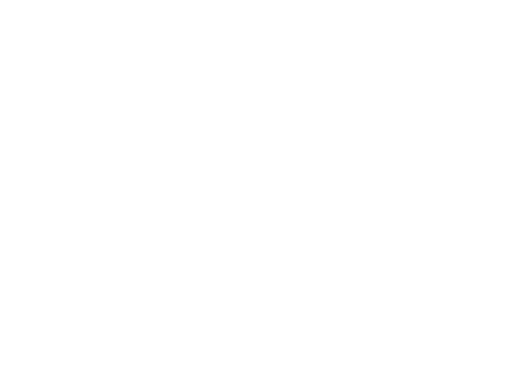 CADC - Caribbean American Dance Company Logo